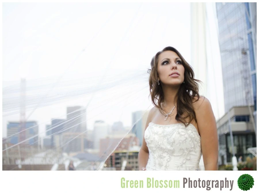 www.greenblossomphotography.com, Denver wedding photo, Millennium Park Wedding Photo