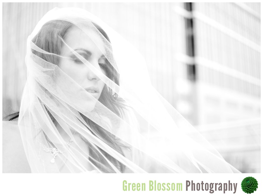 www.greenblossomphotography.com, Denver wedding photo, Millennium Park Wedding Photo