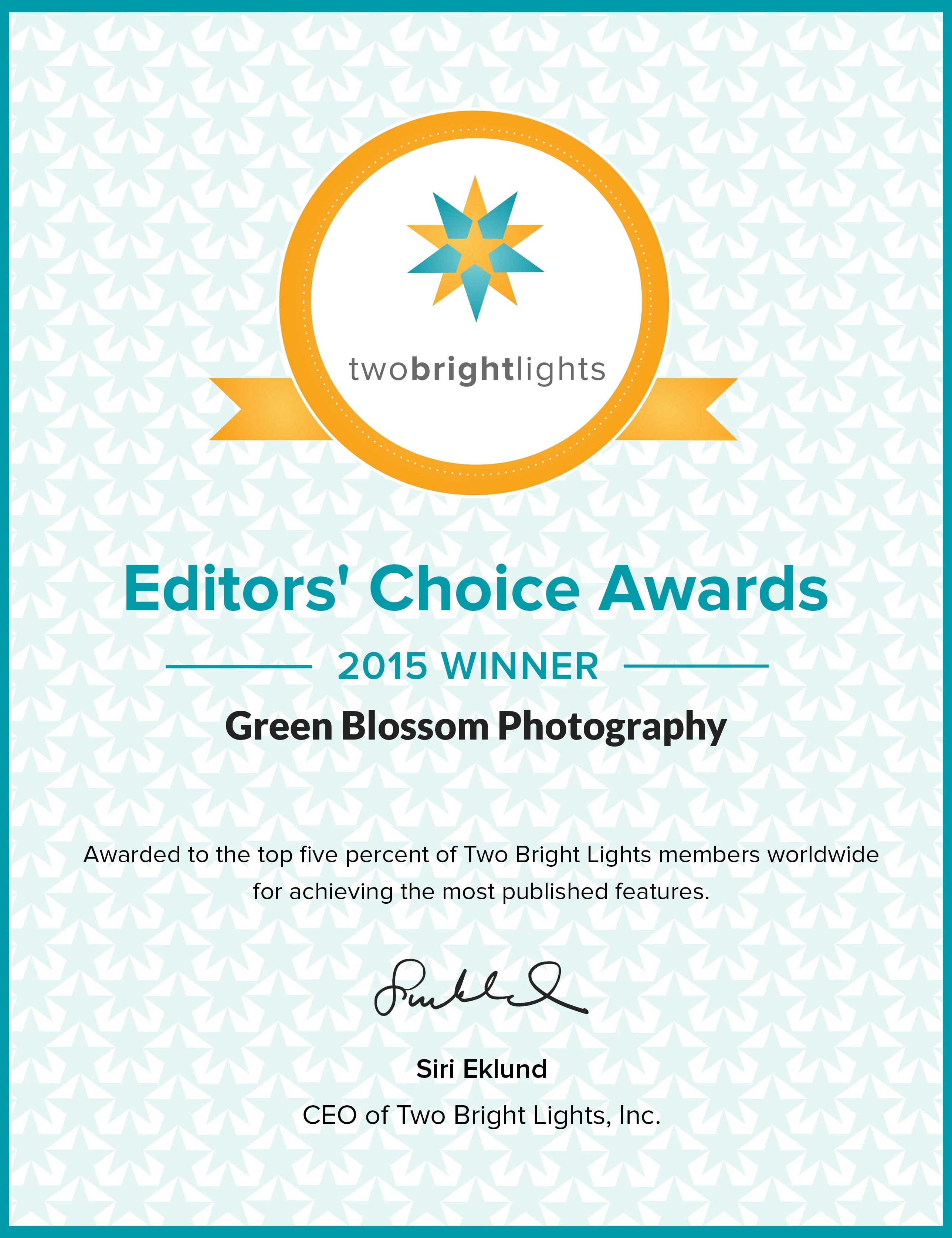 2015 Two Bright Lights Editors’ Choice Award