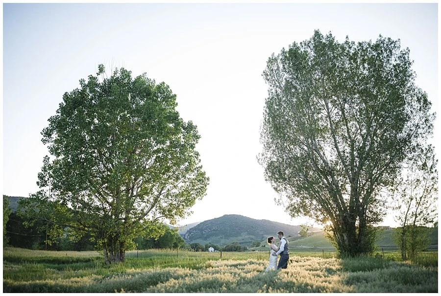 romantic sunset portraits in field at spring Denver Botanic Gardens at Chatfield Wedding by Lyons wedding photographer Jennie Crate