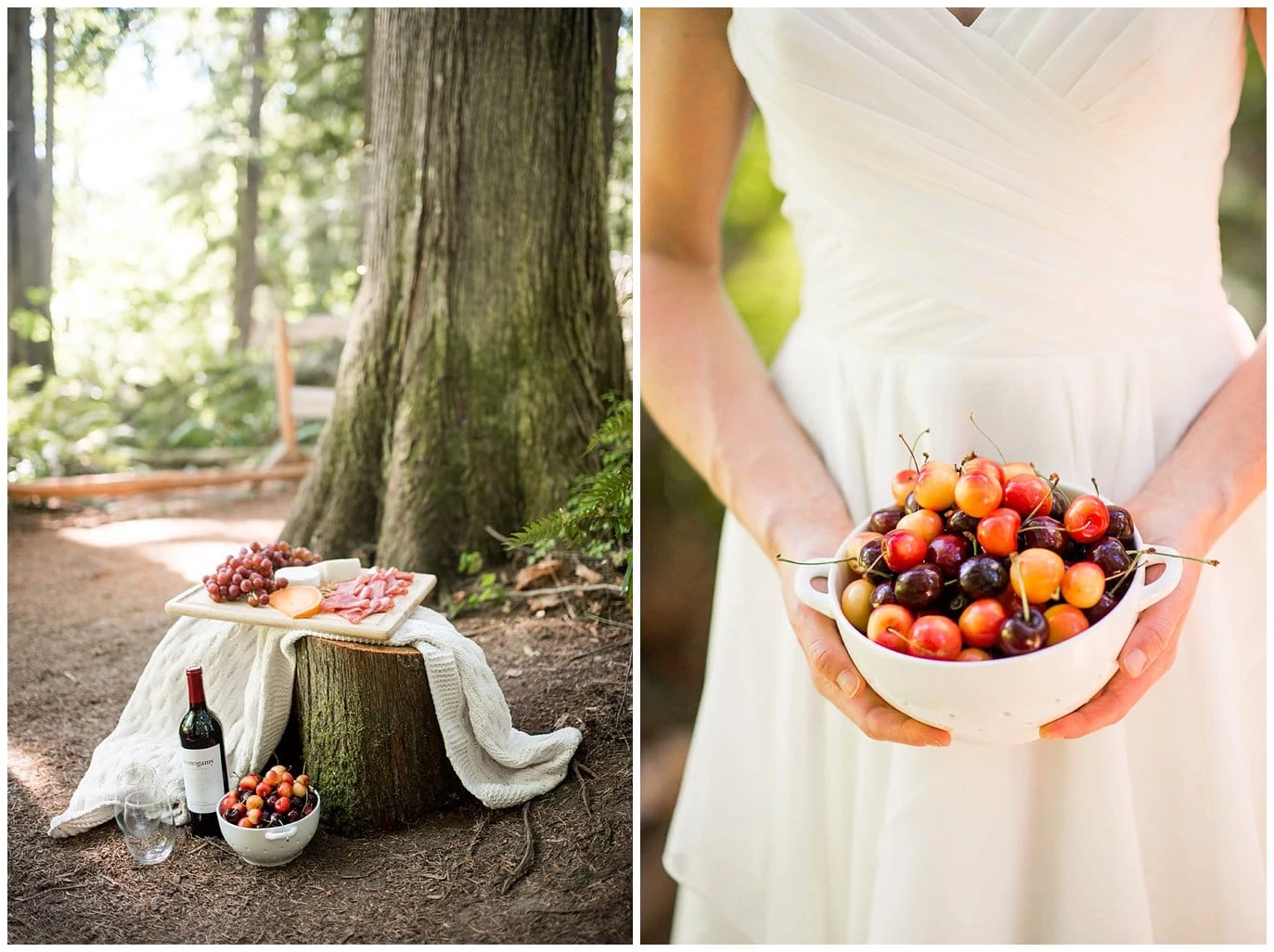 picnic in the woods elopement photo