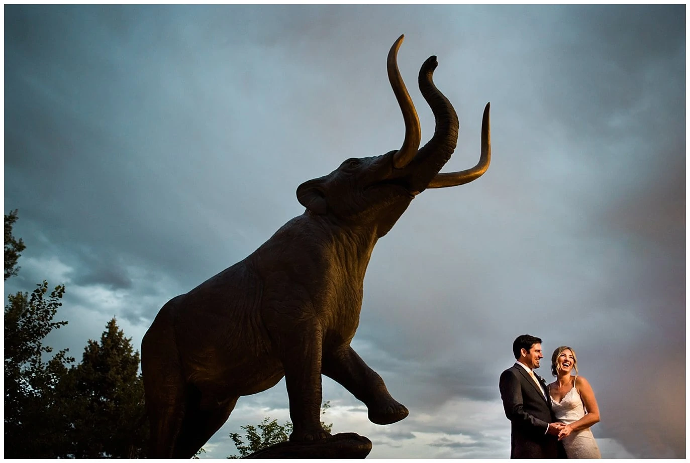 Denver Museum of Nature and Science Wedding with mastodon photo