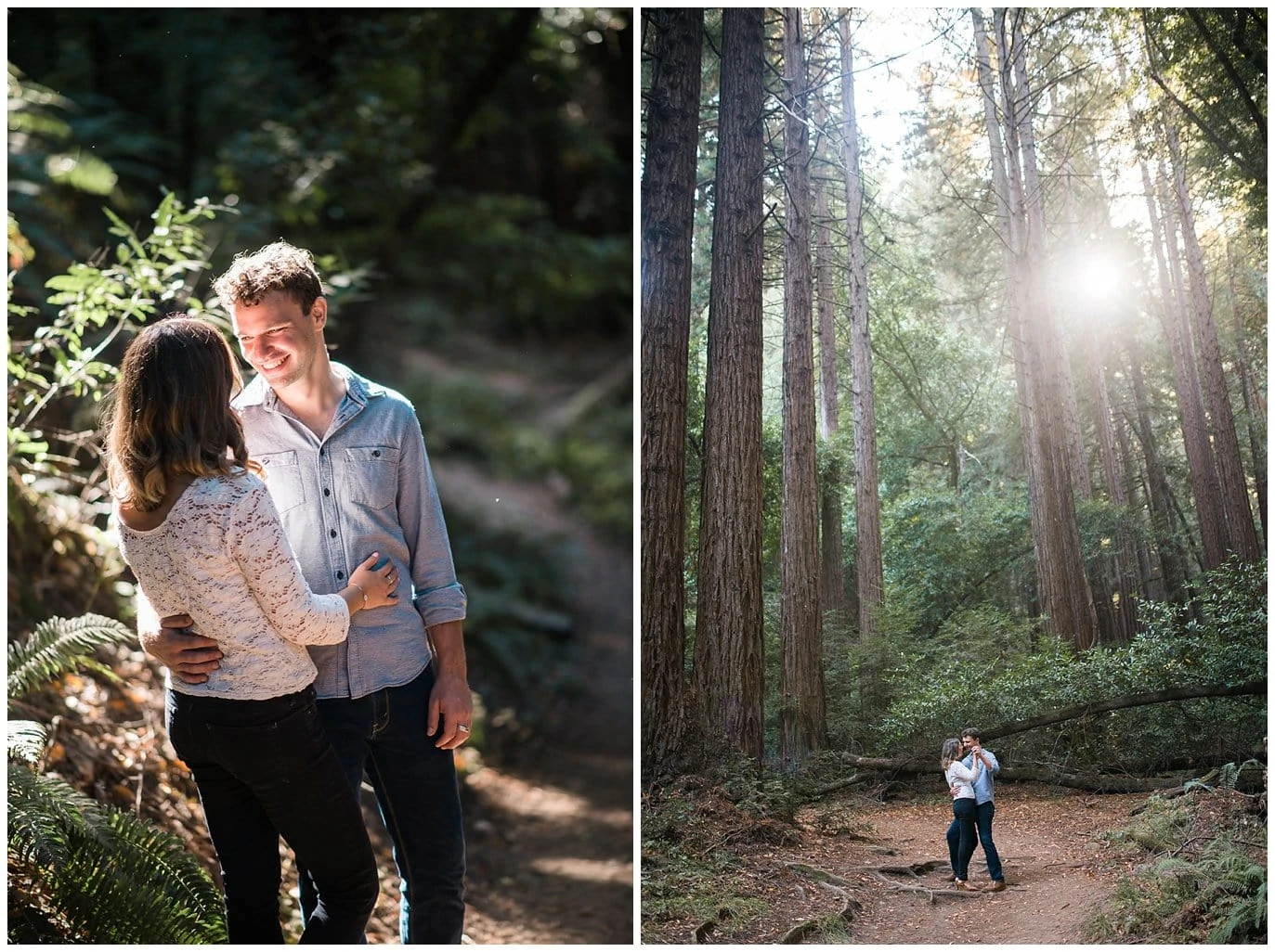 redwood forest engagement photo