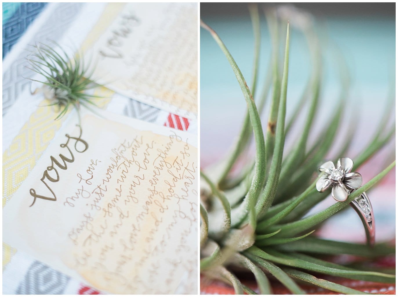 engagement ring and air plant photo