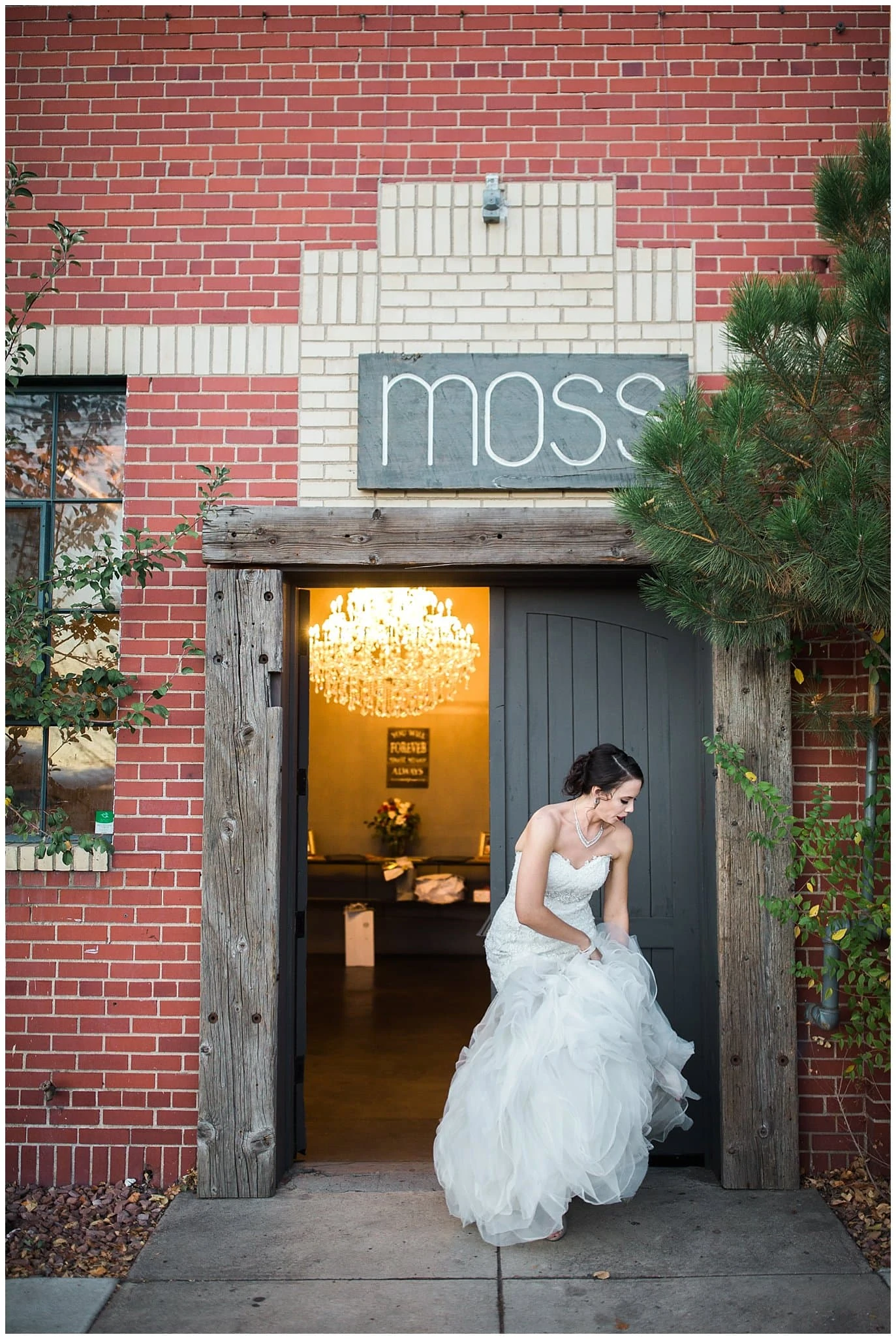 Moss Denver Same-sex Wedding photo