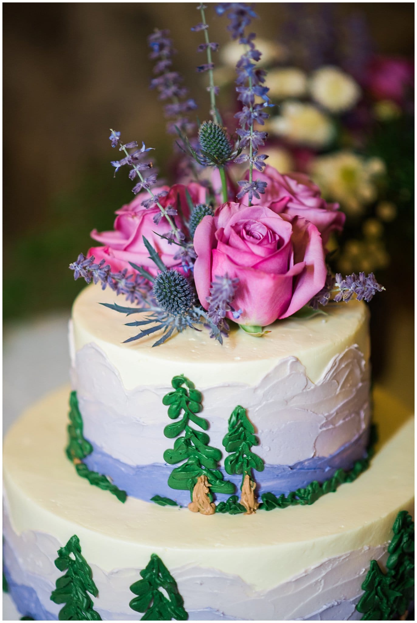 mountain wedding cake at Eureka Lodge Wedding by Dillon Wedding Photographer Jennie Crate