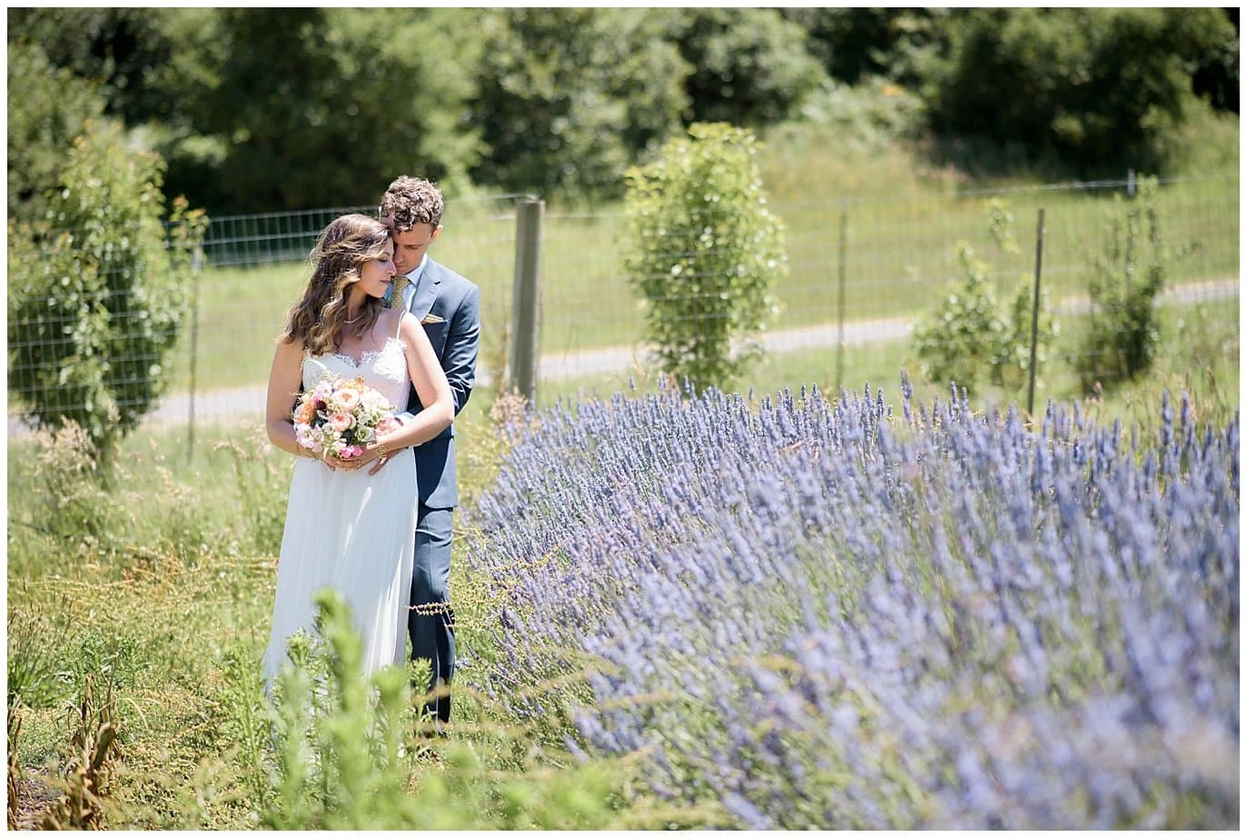 bride and groom cuddle in lavender garden at Mann Family Farm wedding by northern California wedding photographer Jennie Crate