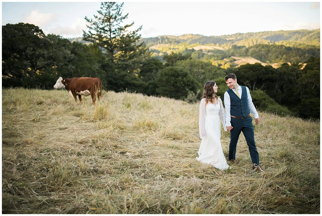 couple walks in field at sunset with cow in background at Mann Family Farm Wedding photo