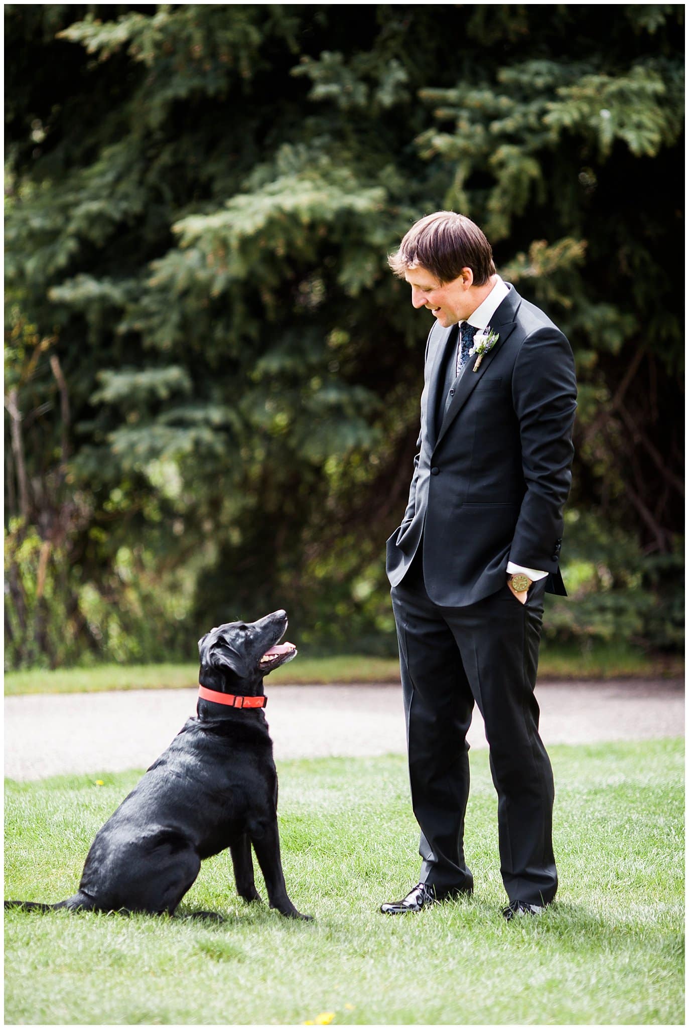 groom and dog photo