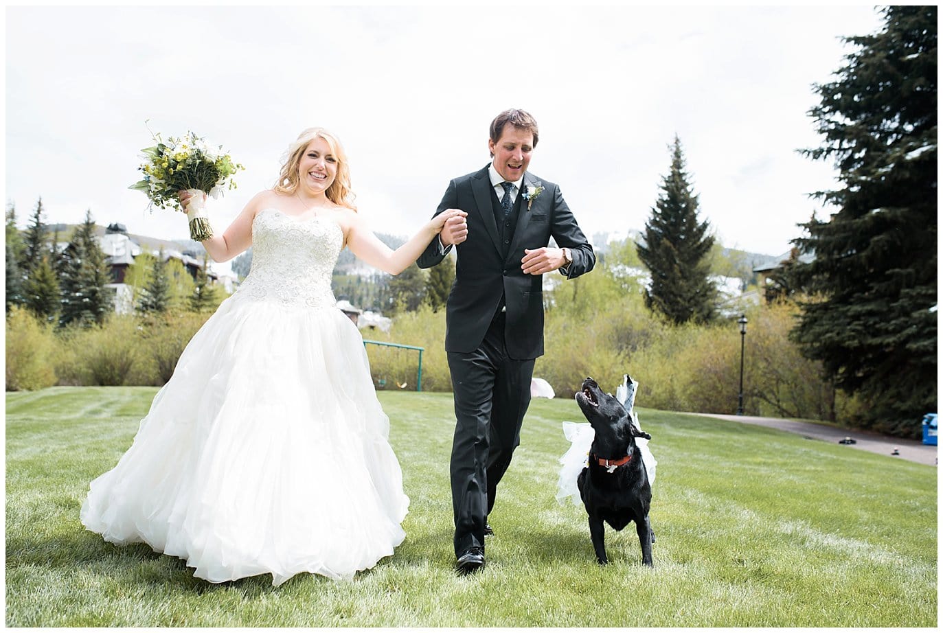 bride groom and dog photo