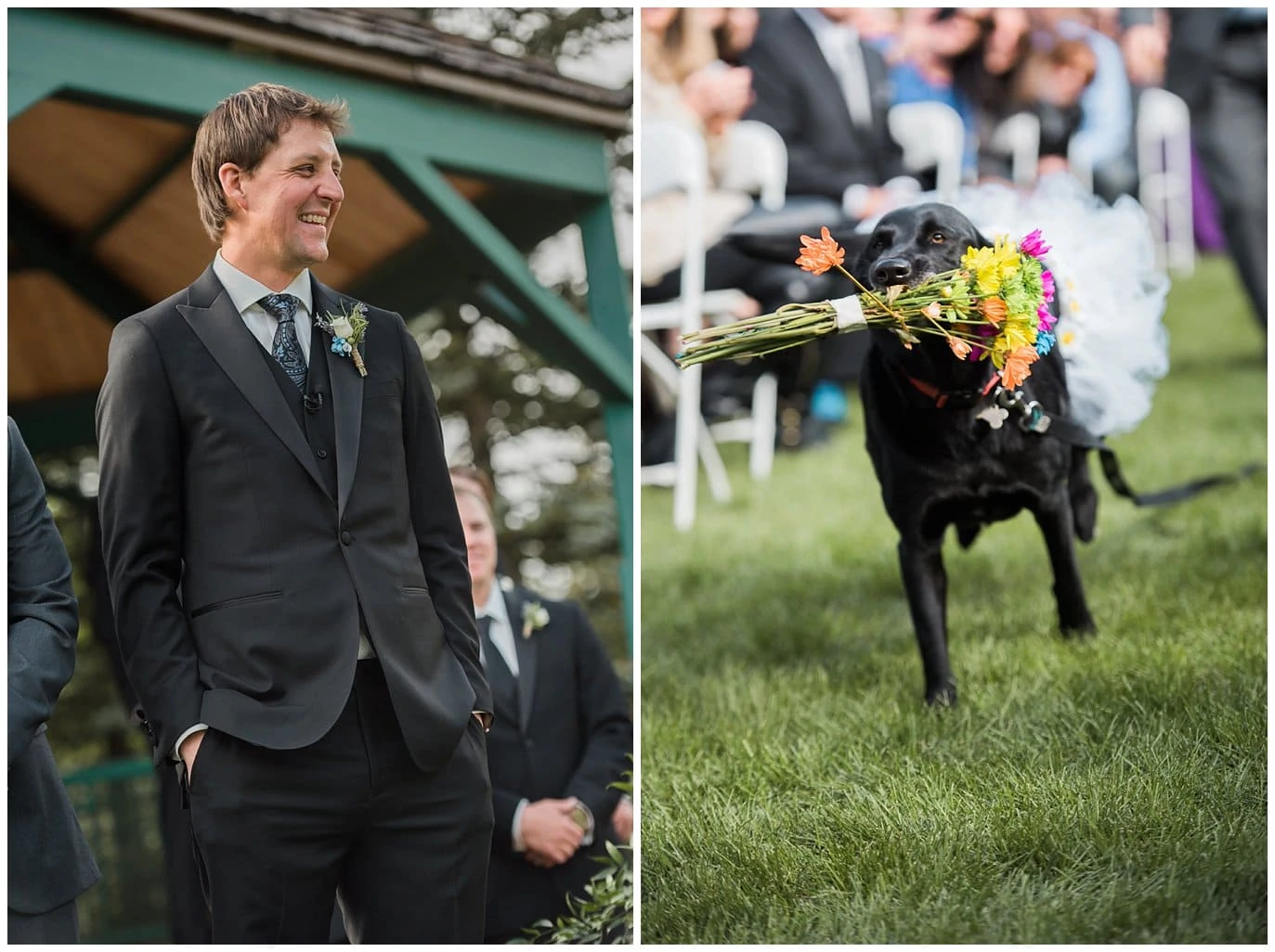 flower dog wedding photo