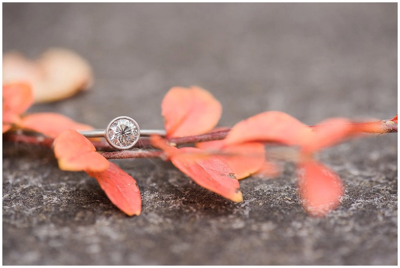 engagement ring with fall leaves photo