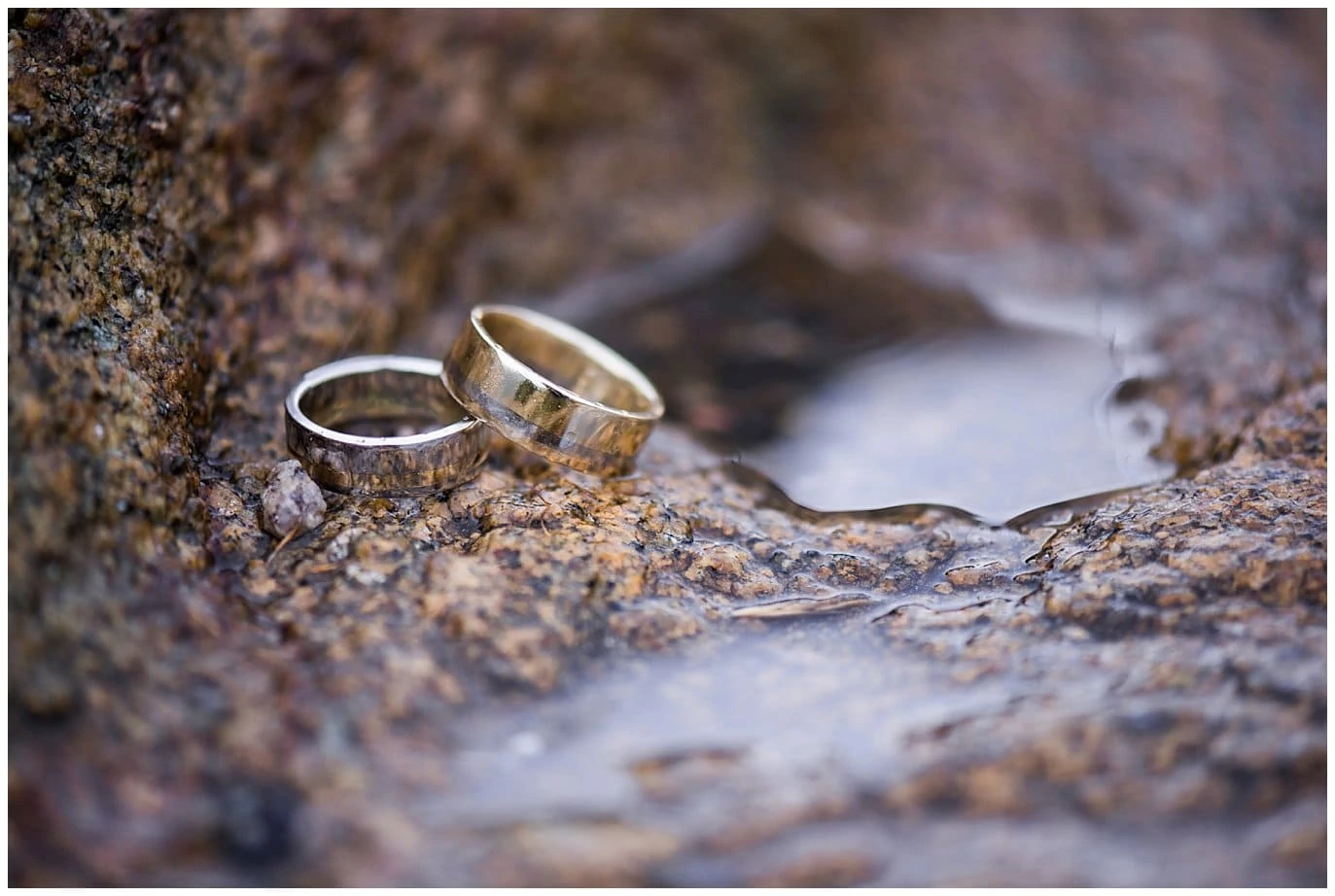 Gold and Silver wedding rings for two grooms photo