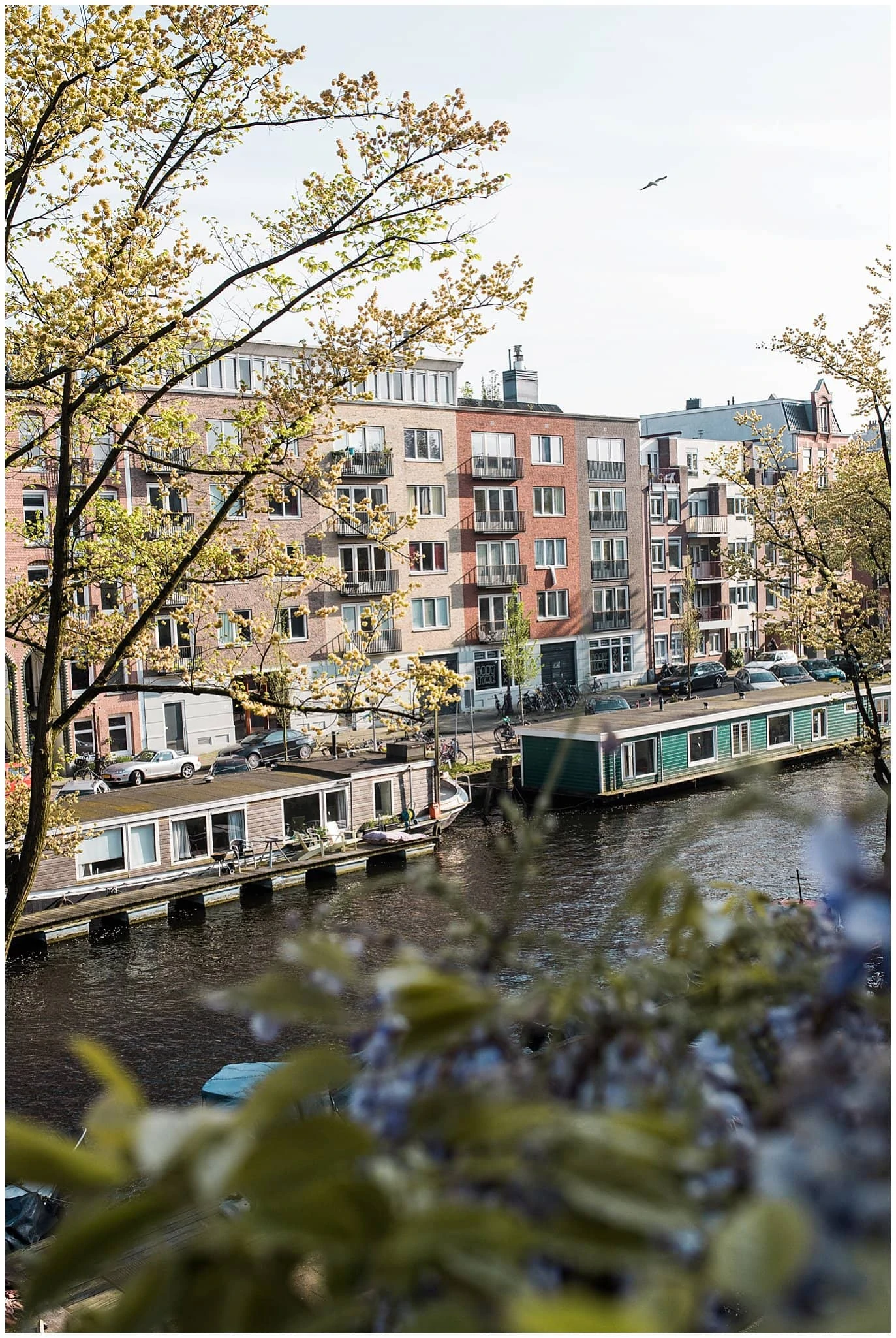 Amsterdam canal photo