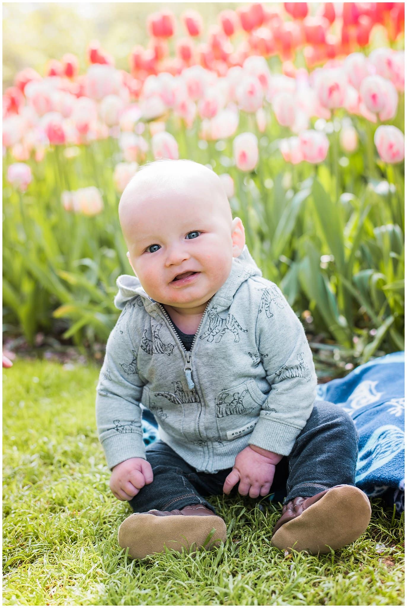 baby and tulips in Amsterdam photo