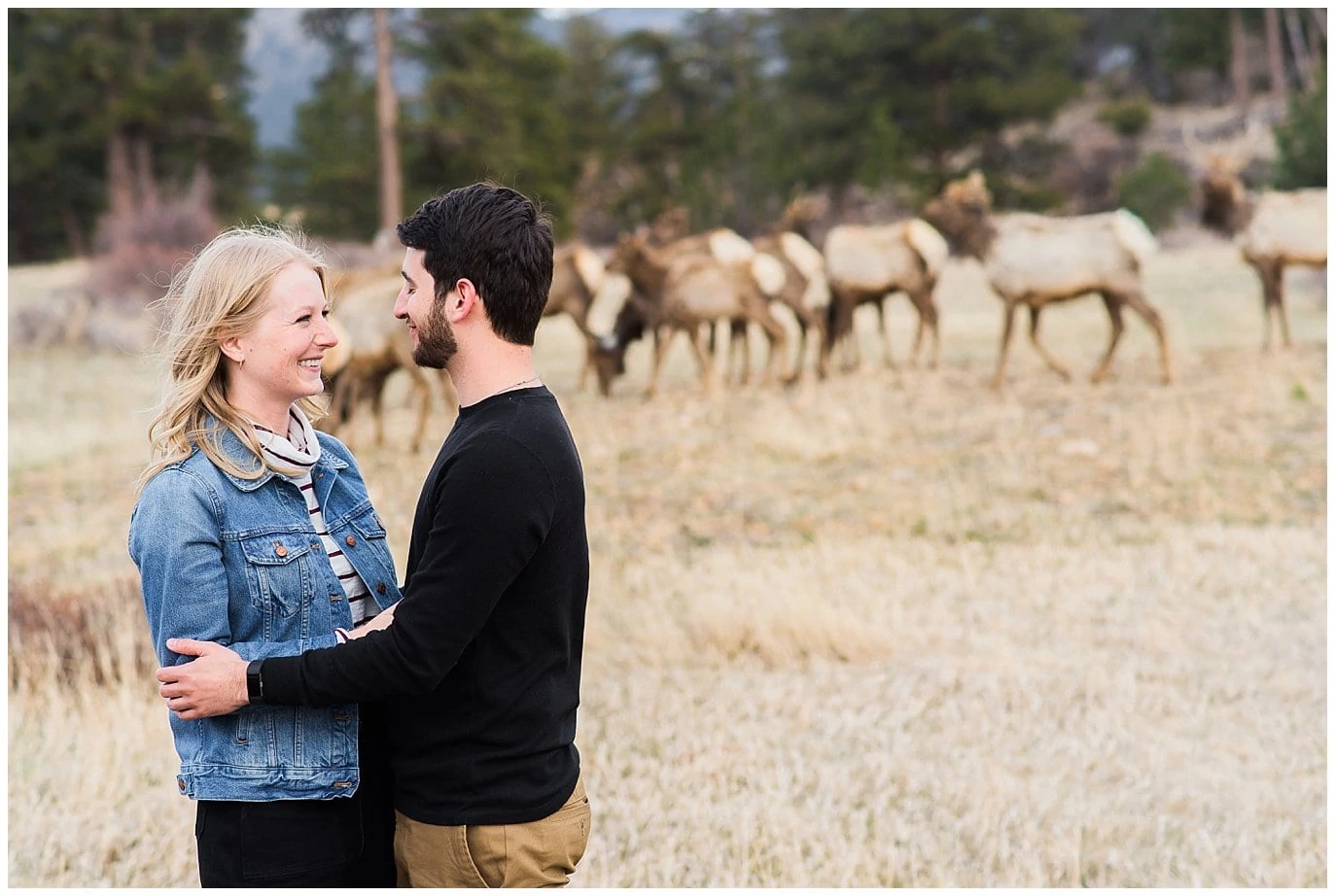 Elk in engagement photo