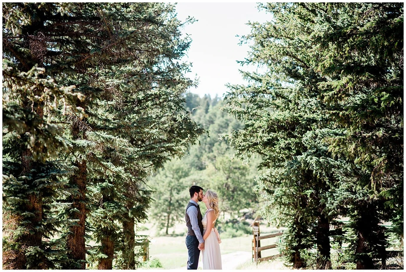 Colorful bride and groom portrait in evergreen trees at Deer Creek Valley Ranch wedding by Boulder Wedding Photographer Jennie Crate Photographer