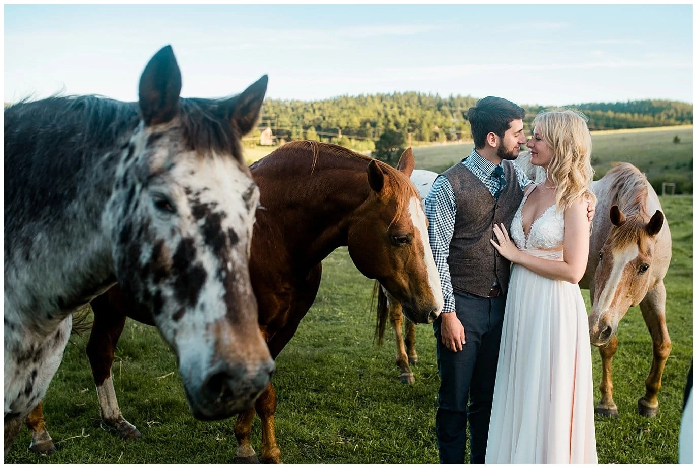 Bride and Groom with horses at Deer Creek Valley Ranch wedding by Denver Wedding Photographer Jennie Crate Photographer