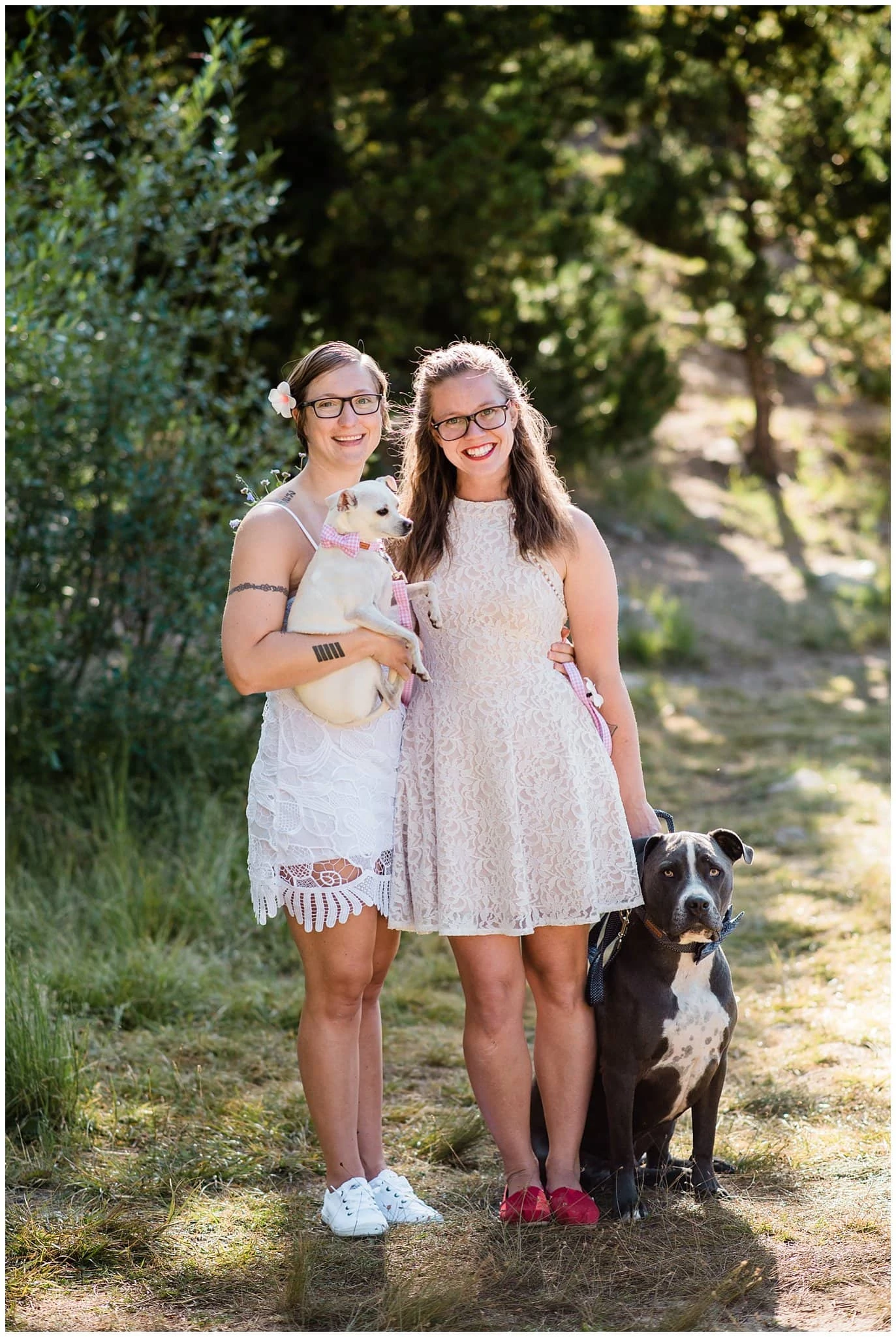 family photo with dogs at wedding photo