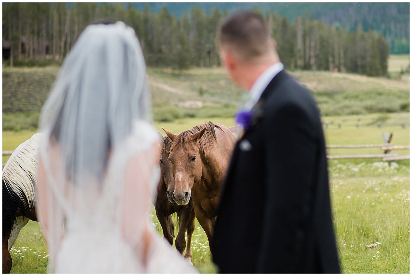 horses with bride and groom at Devil's Thumb Ranch photo