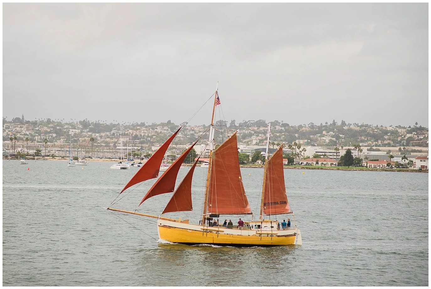 yellow boat with red sails san diego harbor photo