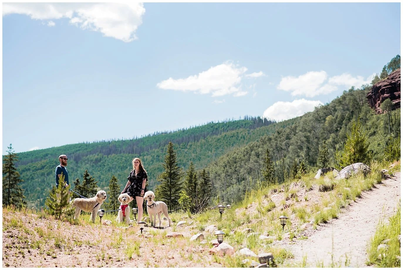 Dogs on hillside at Summer Piney River Ranch wedding by Vail wedding photographer Jennie Crate, Photographer