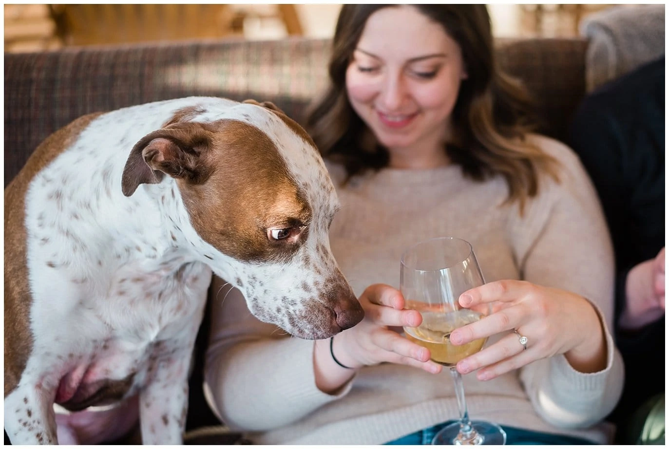 dog looking at wine glass during at home winter engagement session by Fraser engagement photographer Jennie Crate