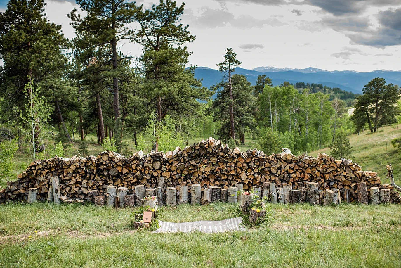 split log ceremony backdrop at Golden Colorado elopement by Golden elopement photographer Jennie Crate