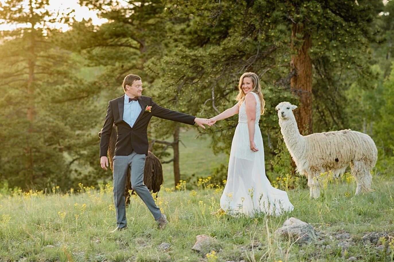 bride and groom walk through wildflower field with alpacas at Golden elopement by Golden elopement photographer Jennie Crate