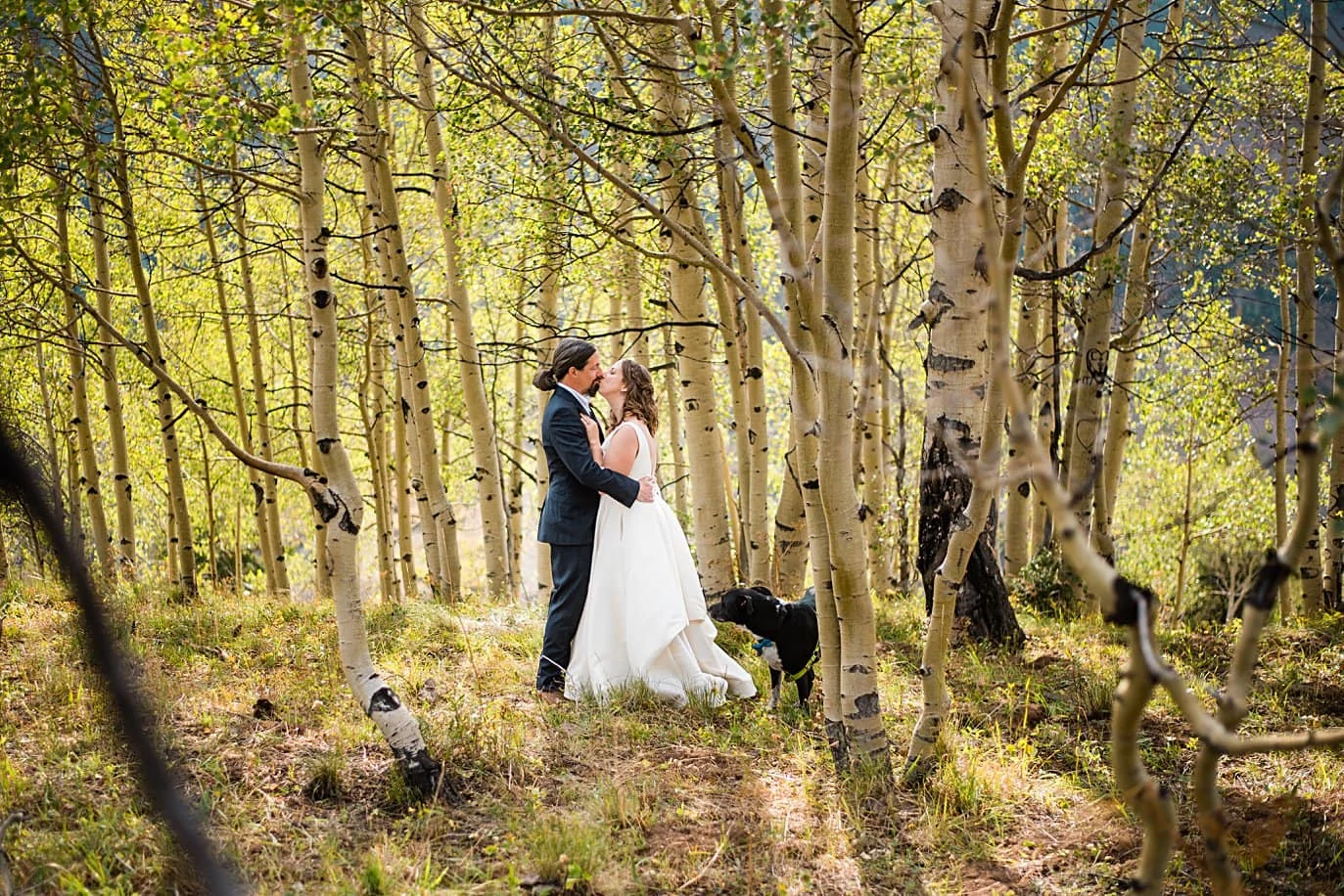 bride and groom in aspen trees after ceremony in Colorado by Colorado wedding photographer Jennie Crate