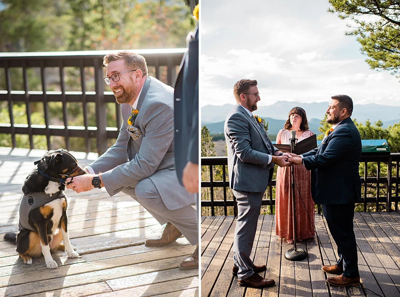 grooms get rings from ring bearer dog at Panorama point during LGBTQ wedding by Colorado LGBT photographer Jennie Crate