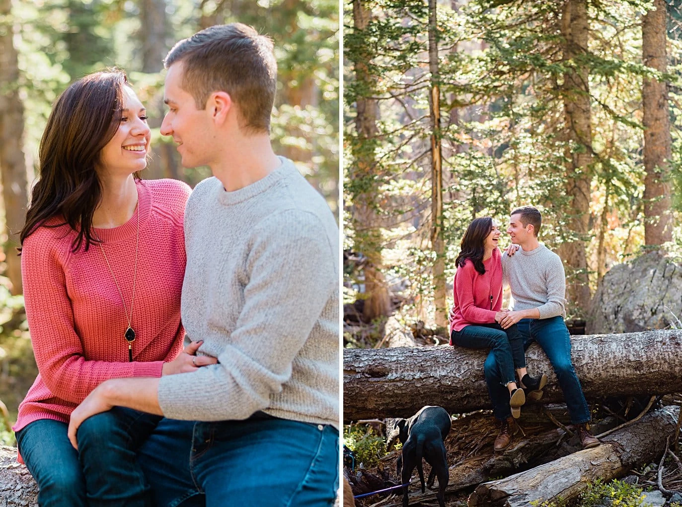 couple cuddles on fallen log in woods at Mitchell Lake engagement session by Boulder engagement photographer Jennie Crate