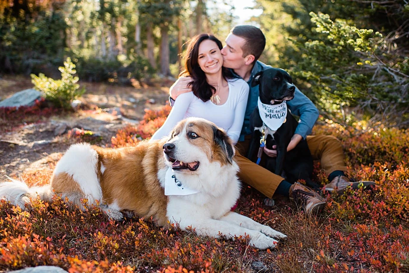 couple with dogs during Mitchell Lake engagement session by Boulder engagement photographer Jennie Crate