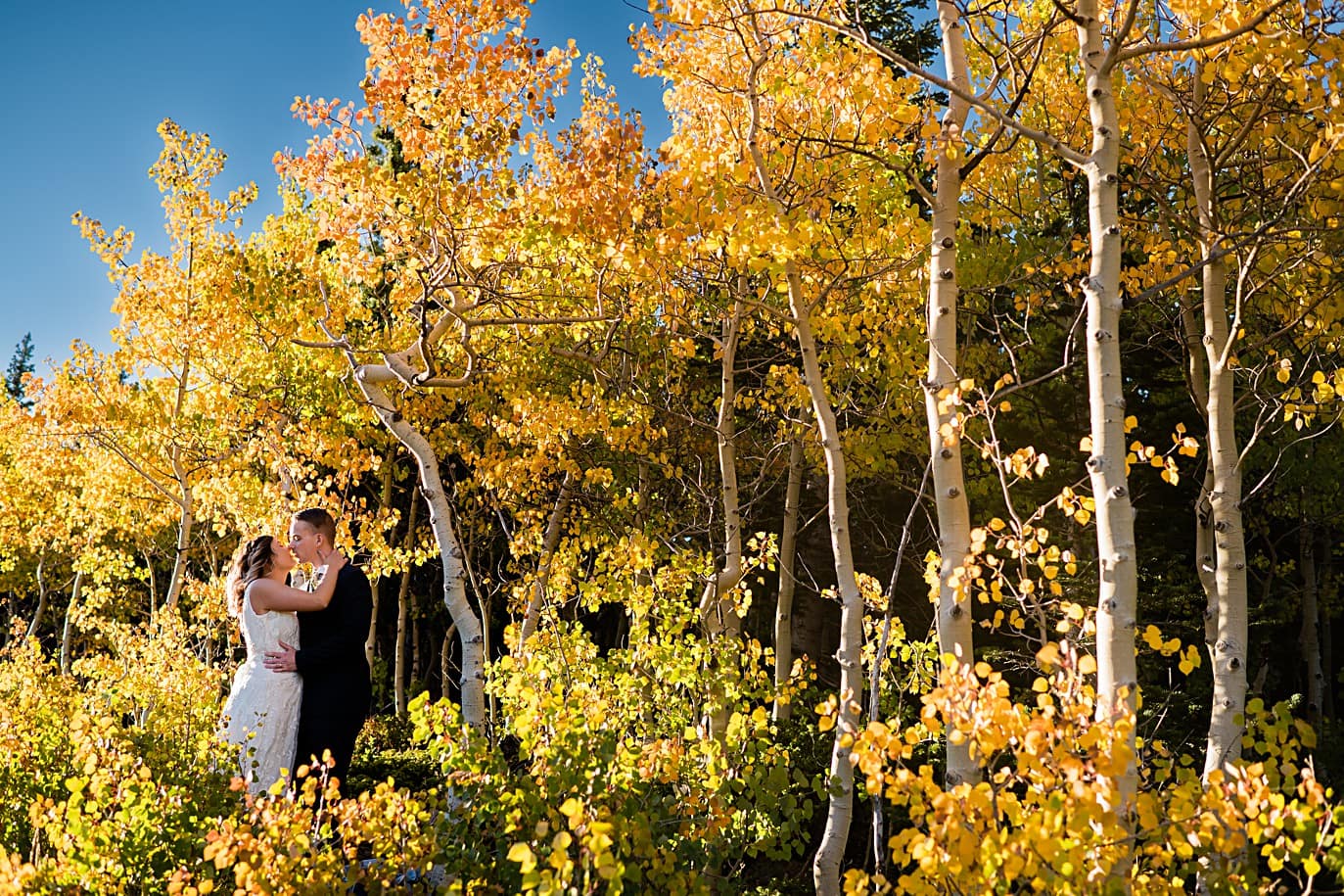 bride and groom in yellow aspens after their long lake elopement