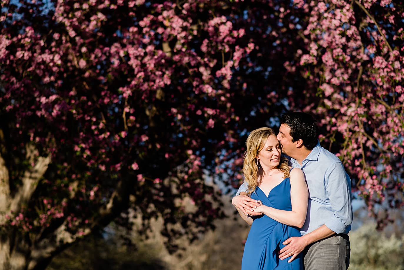 cherry blossom engagement photos in denver